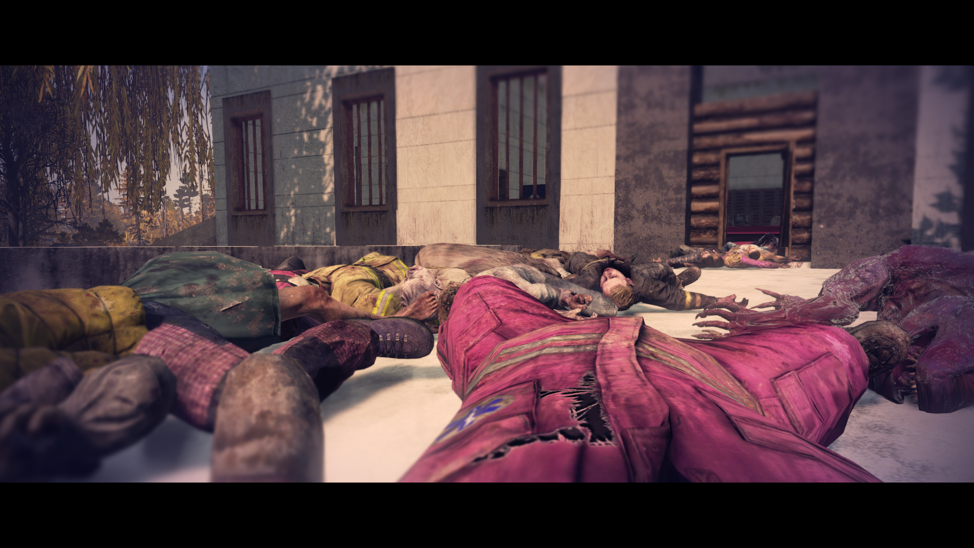 DayZ Screenshot 2026.07.19   14.08.41.13