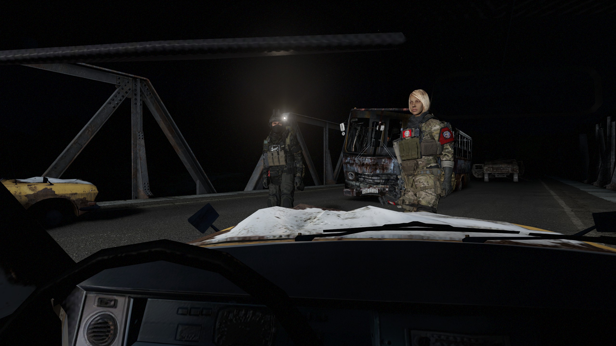 DayZ5